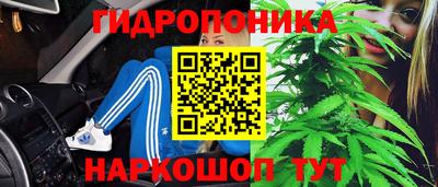 стафф Бугуруслан