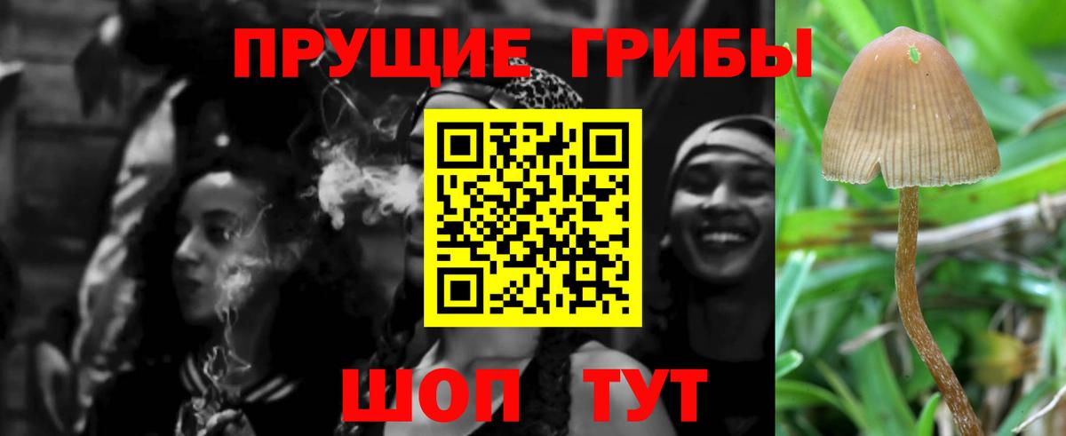 Псилоцибиновые грибы GOLDEN TEACHER Серпухов