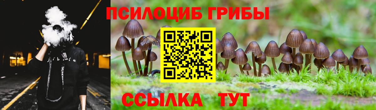 Галлюциногенные грибы мицелий  Галлюциногенные грибы Psilocybe  Вход с VPN  Серпухов 